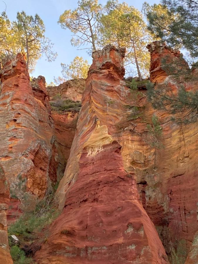 玫瑰别墅酒店 Roussillon en Isere 外观 照片