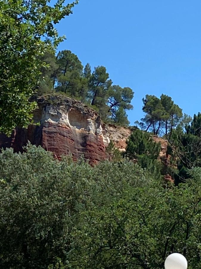 玫瑰别墅酒店 Roussillon en Isere 外观 照片