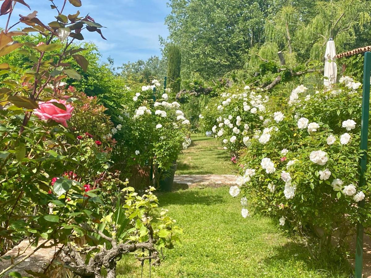 玫瑰别墅酒店 Roussillon en Isere 外观 照片